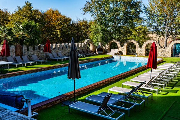 Œufs de punaises de lit : guide essentiel pour les repérer