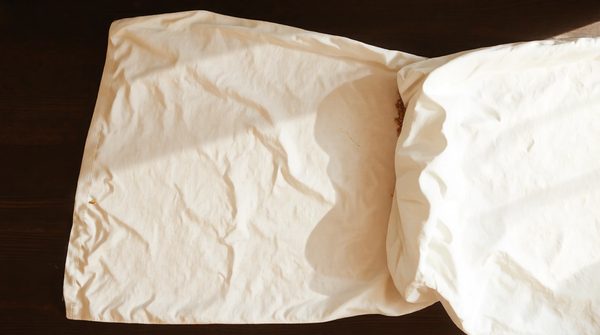 Comment identifier efficacement les œufs de punaises de lit